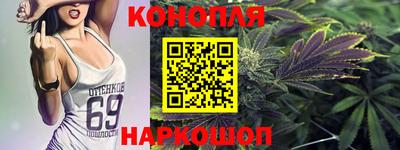 гидра Ставрополь
