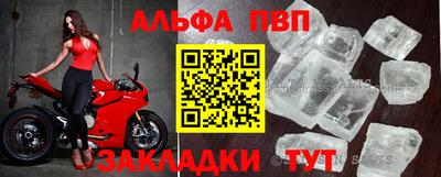гидра Ставрополь