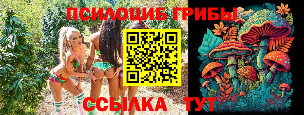 Галлюциногенные грибы прущие грибы  Вход с VPN  Новочеркасск  Псилоцибиновые грибы ЛСД 